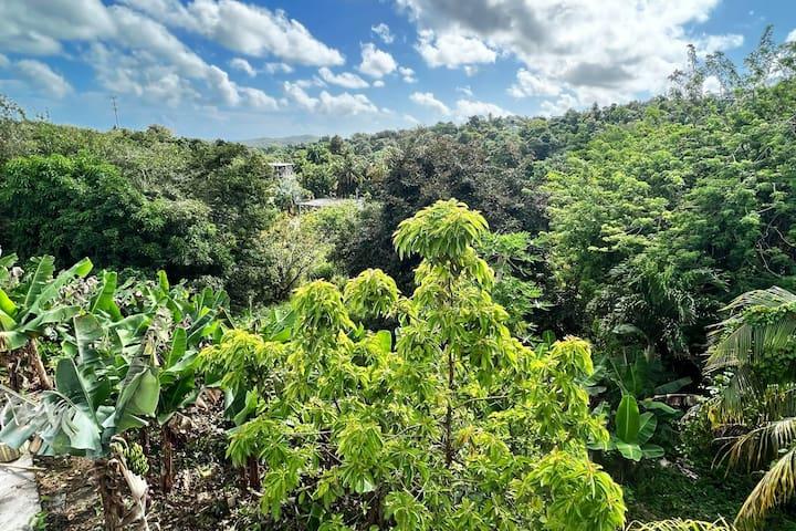 5 Beds, 0 Fees, 30% off Rental Car, Luquillo Beach1