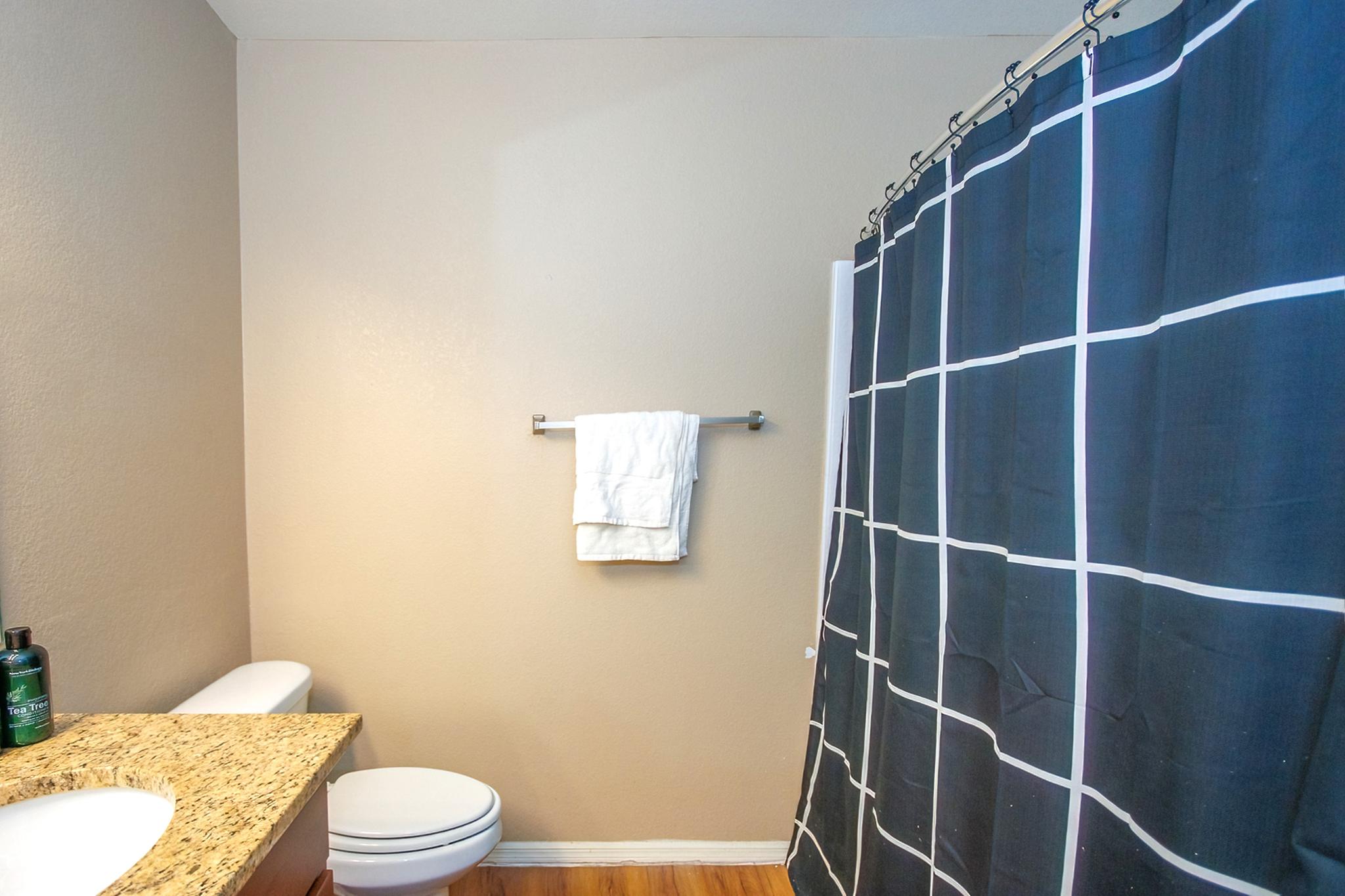 Charming 1-Bedroom Gem in Scottsdale5