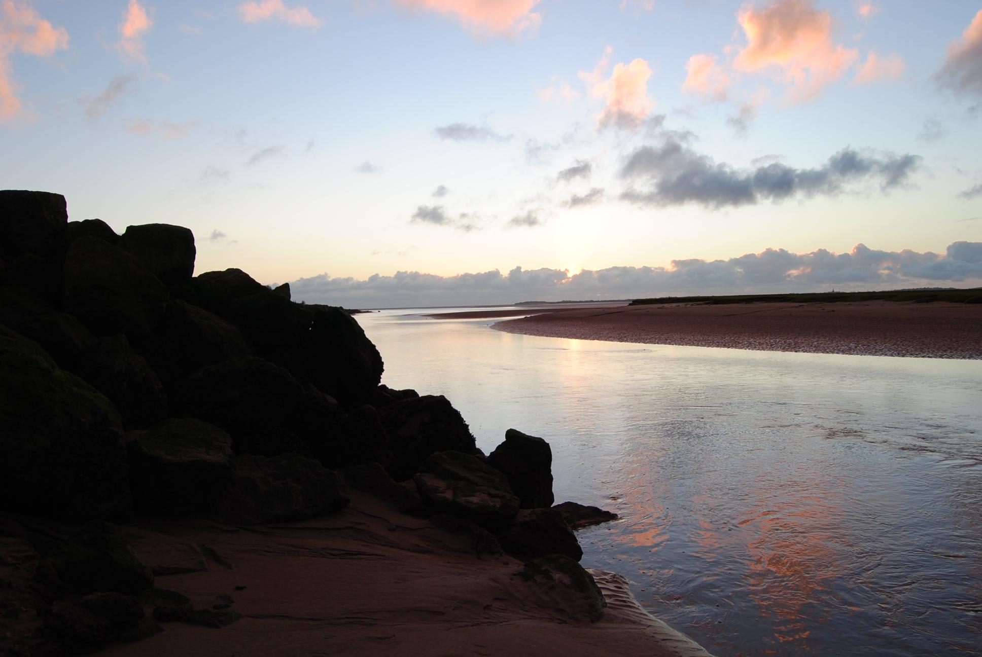 header-image