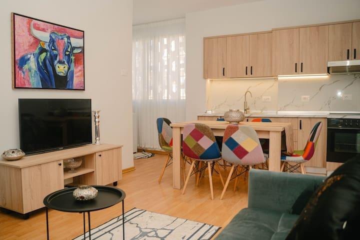 Cozy Apartment in Central Tirana1