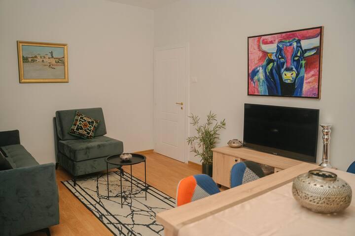 Cozy Apartment in Central Tirana2