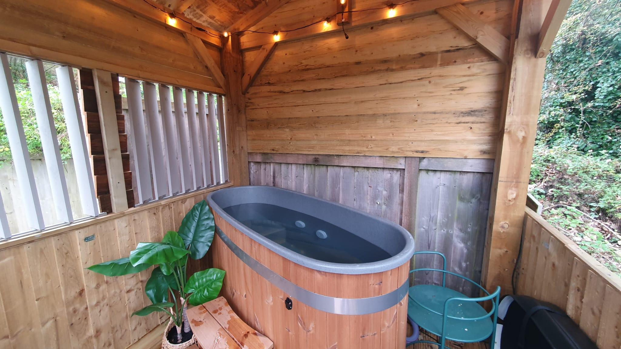 Penlea Cottage2