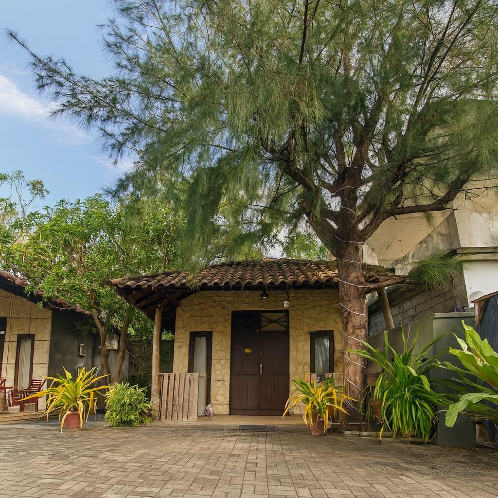 Ayurna Ayurveda Resort And Spa - Chalet2