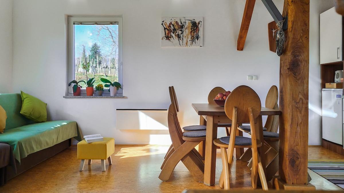Light-filled cottage w/ fire pit near Terme Čatež3