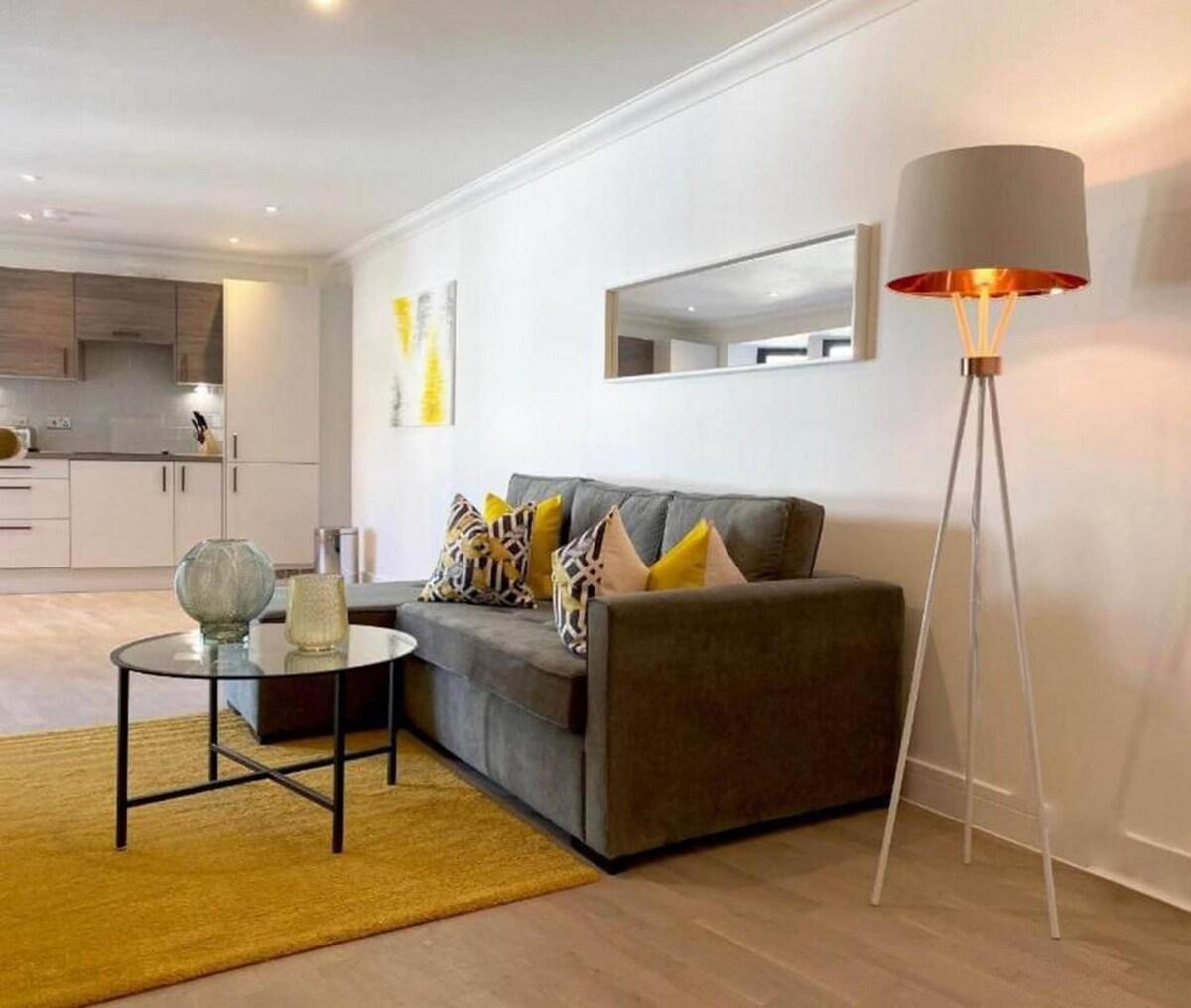 Modern & Stylish 2 Bdr/ 2 Bath Apt.02 in Rochester6