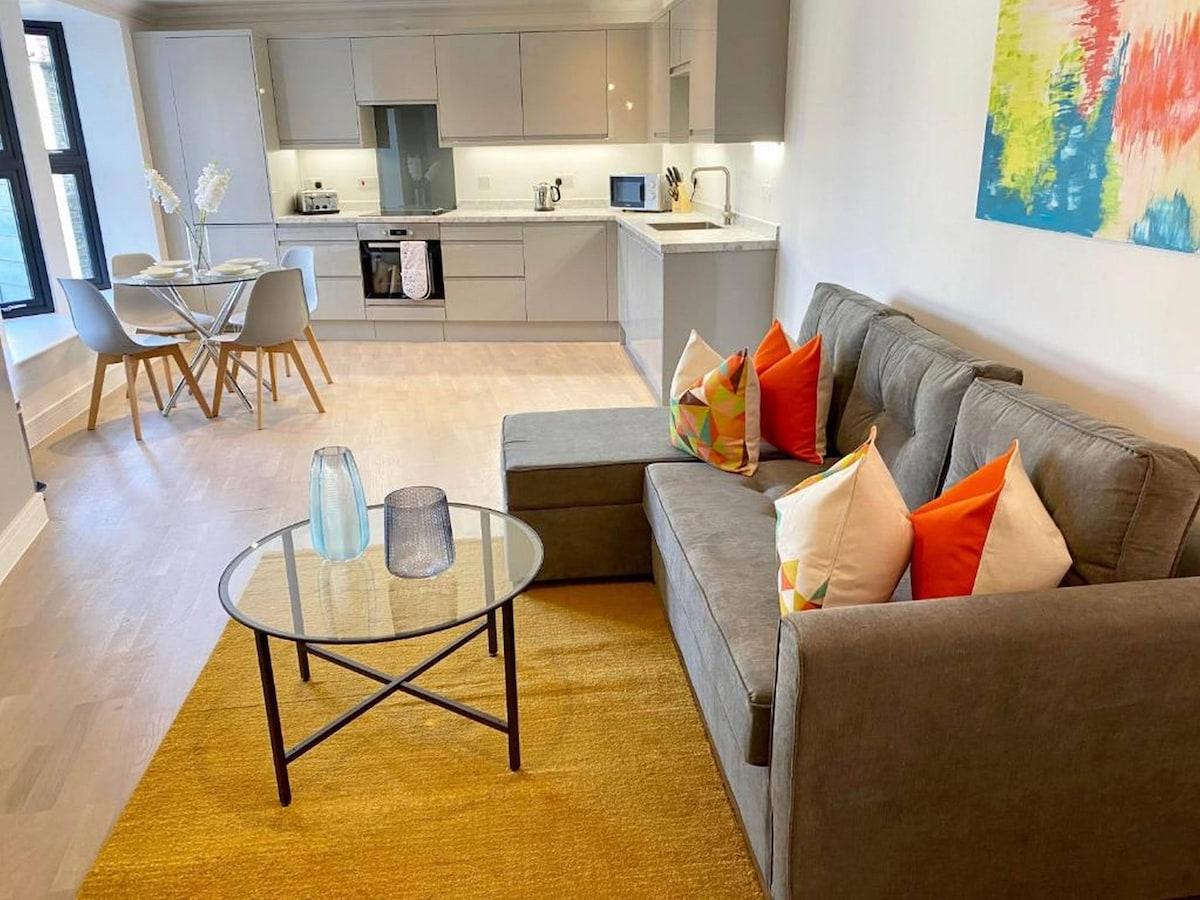 Modern & Stylish 2 Bdr/ 2 Bath Apt.03 in Rochester3