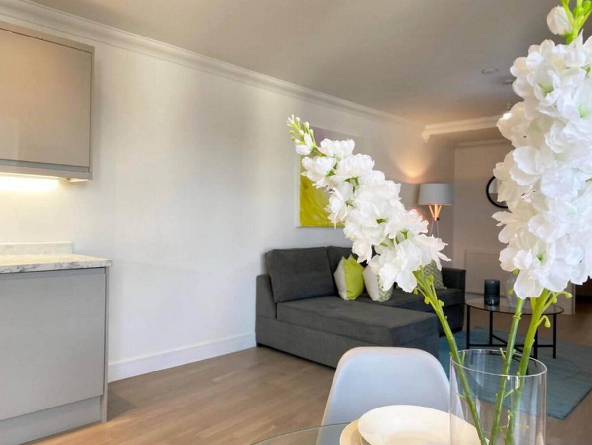 Modern & Stylish 2 Bdr/ 2 Bath Apt.04 in Rochester6