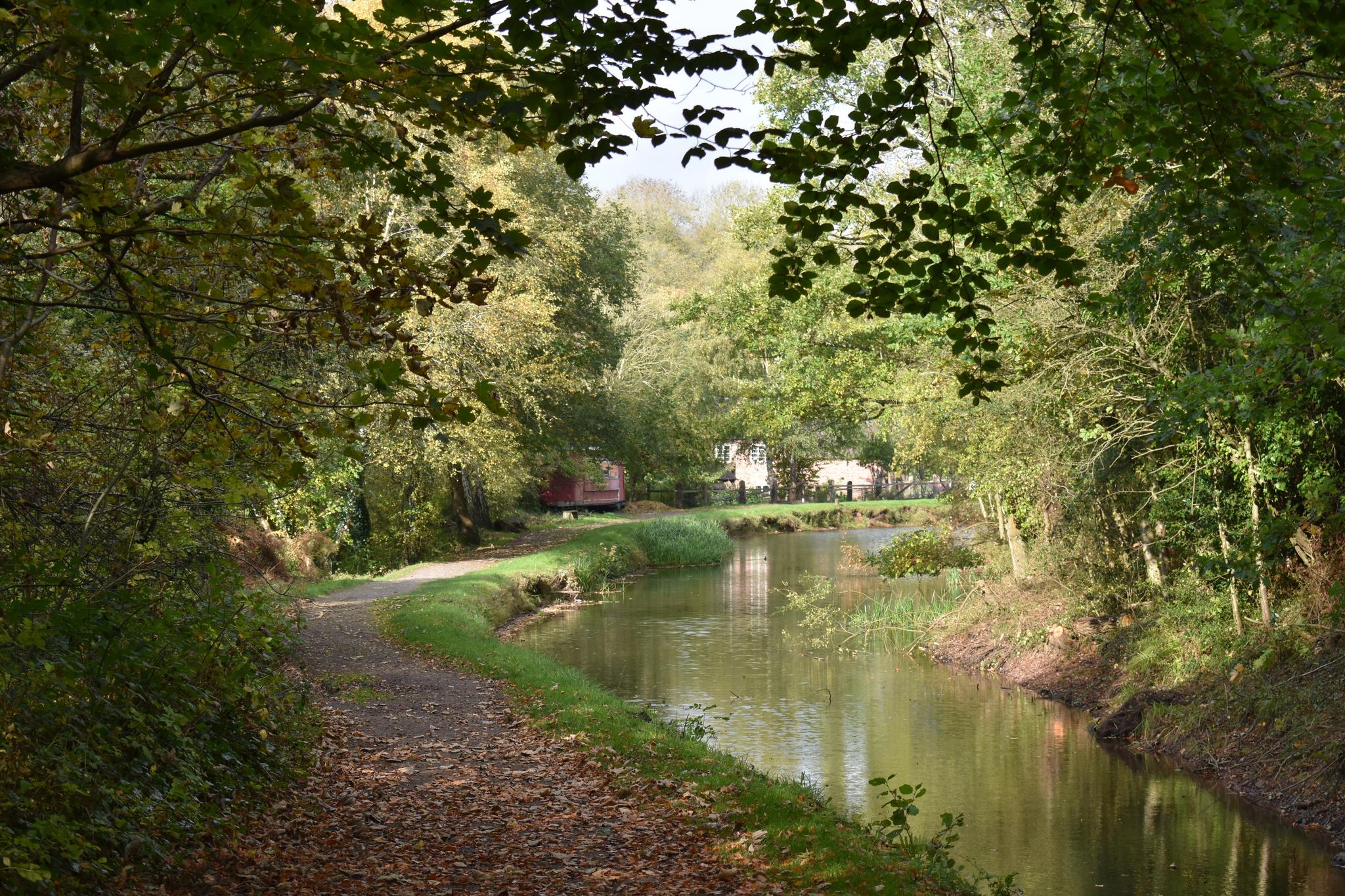 Bishop's Stortford