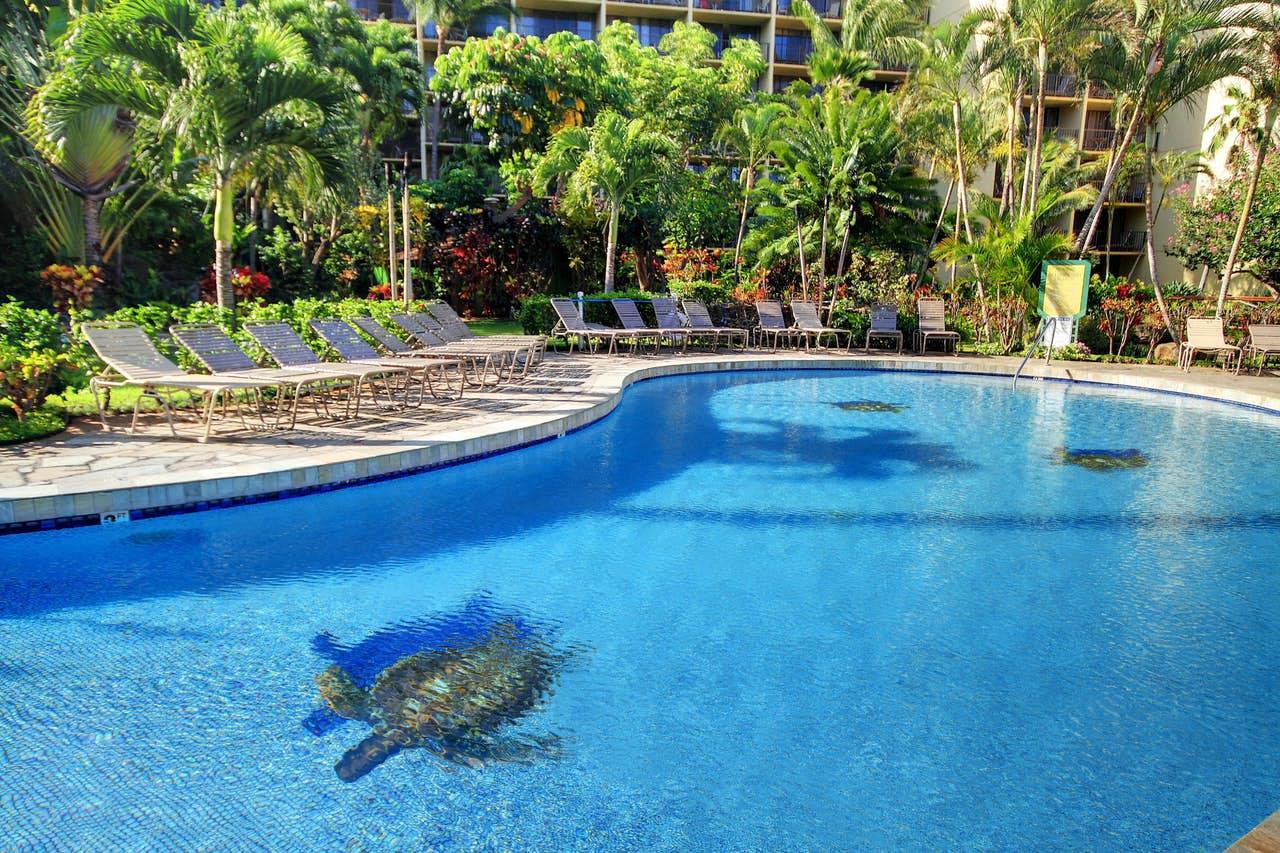 One Bedroom Condo in Kaanapali Shores4