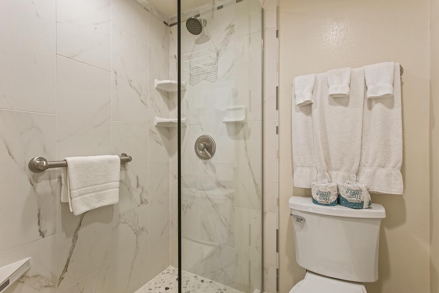 One Bedroom Condo in Royal Kahana3