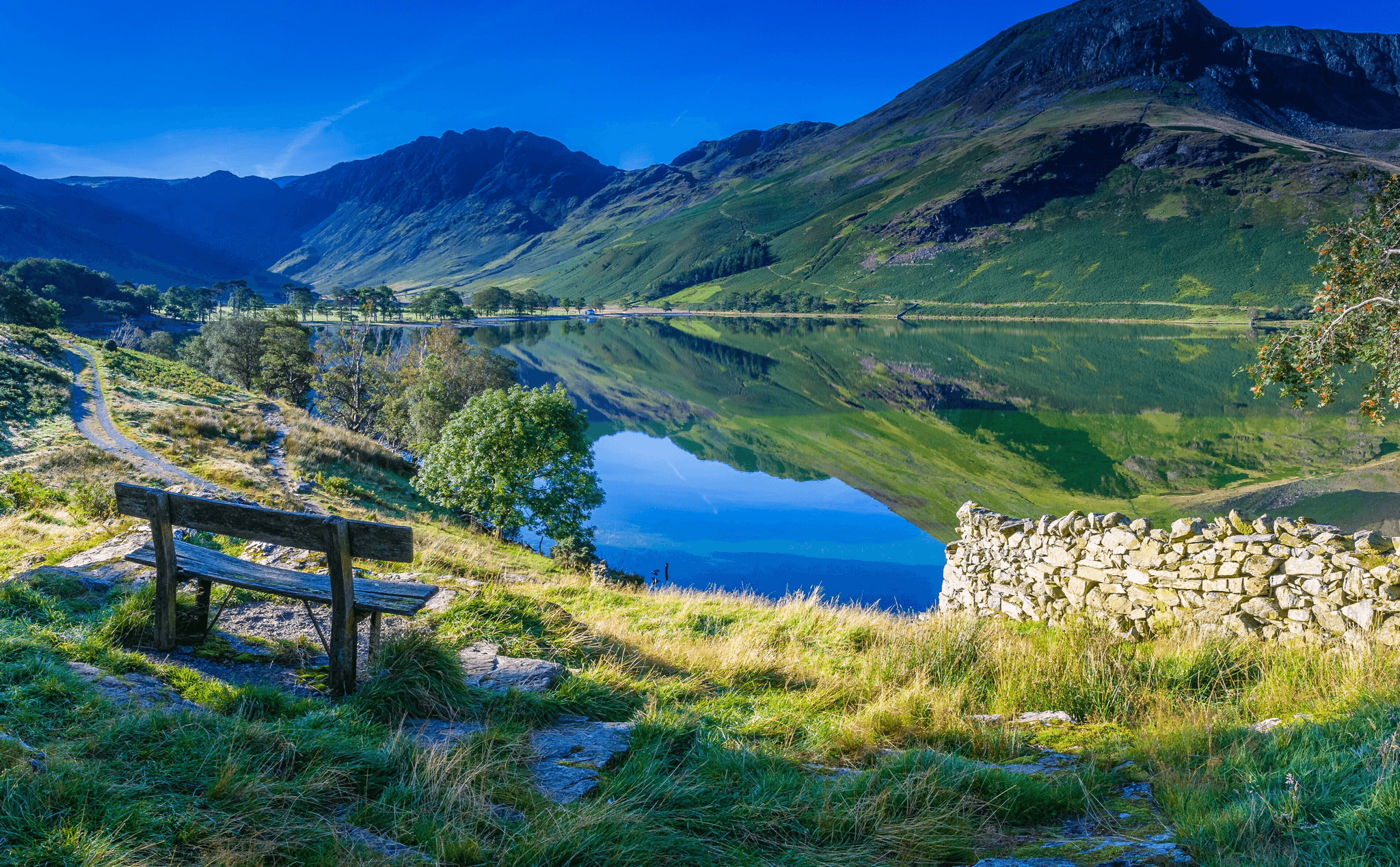 header-image