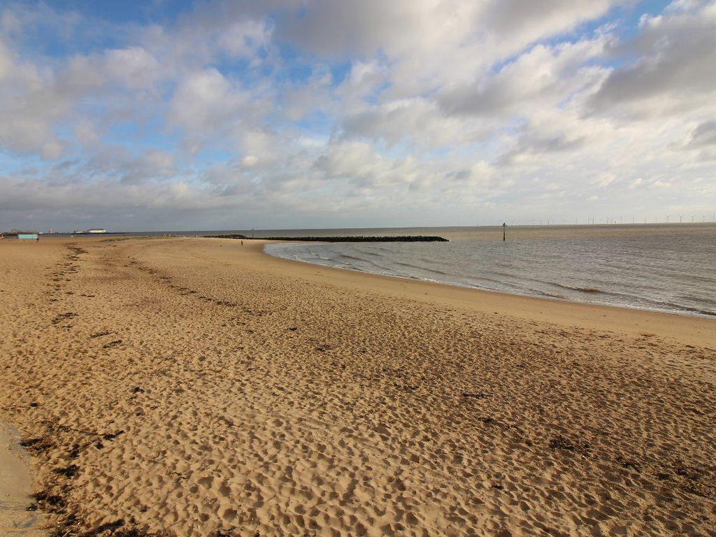 Ocean View – Your Seaside Retreat5