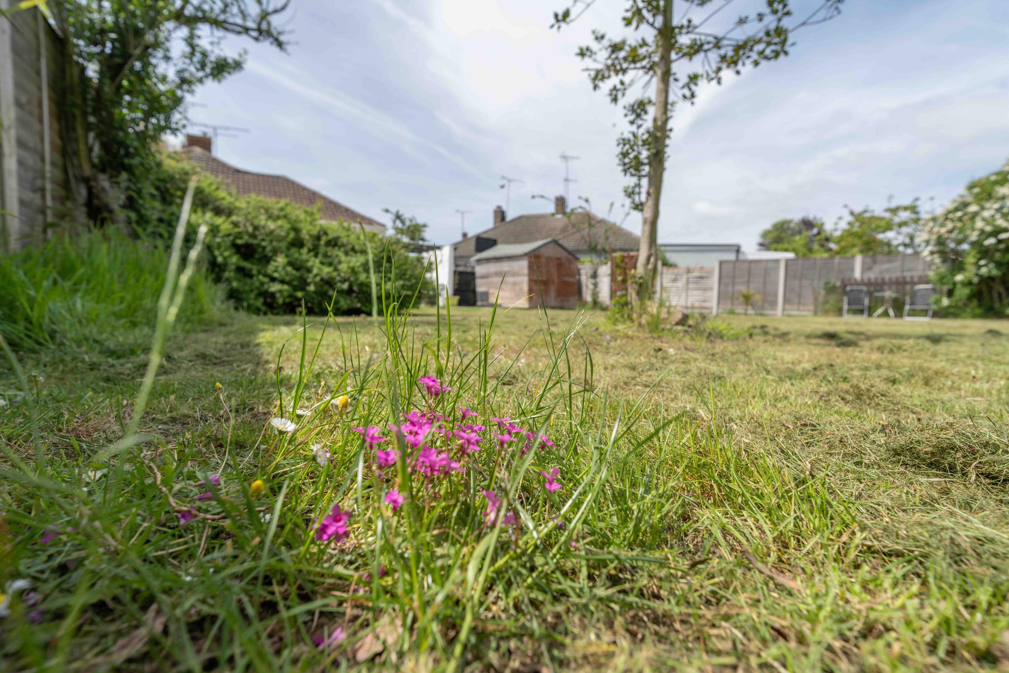 The Avenue Clacton3