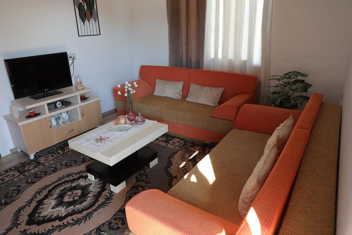 Leko House Perondi3