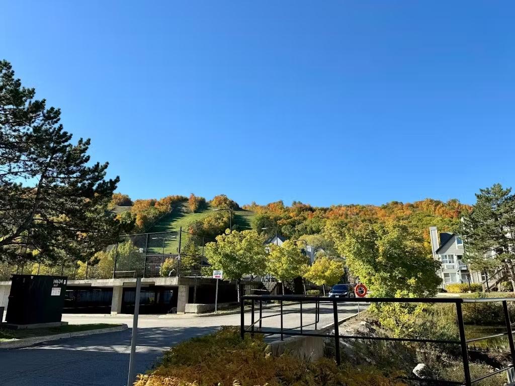 Two Bedroom Condo in North Creek Resort5